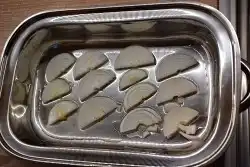 Recept zapečená kuřecí prsa se zeleninou a sýrem